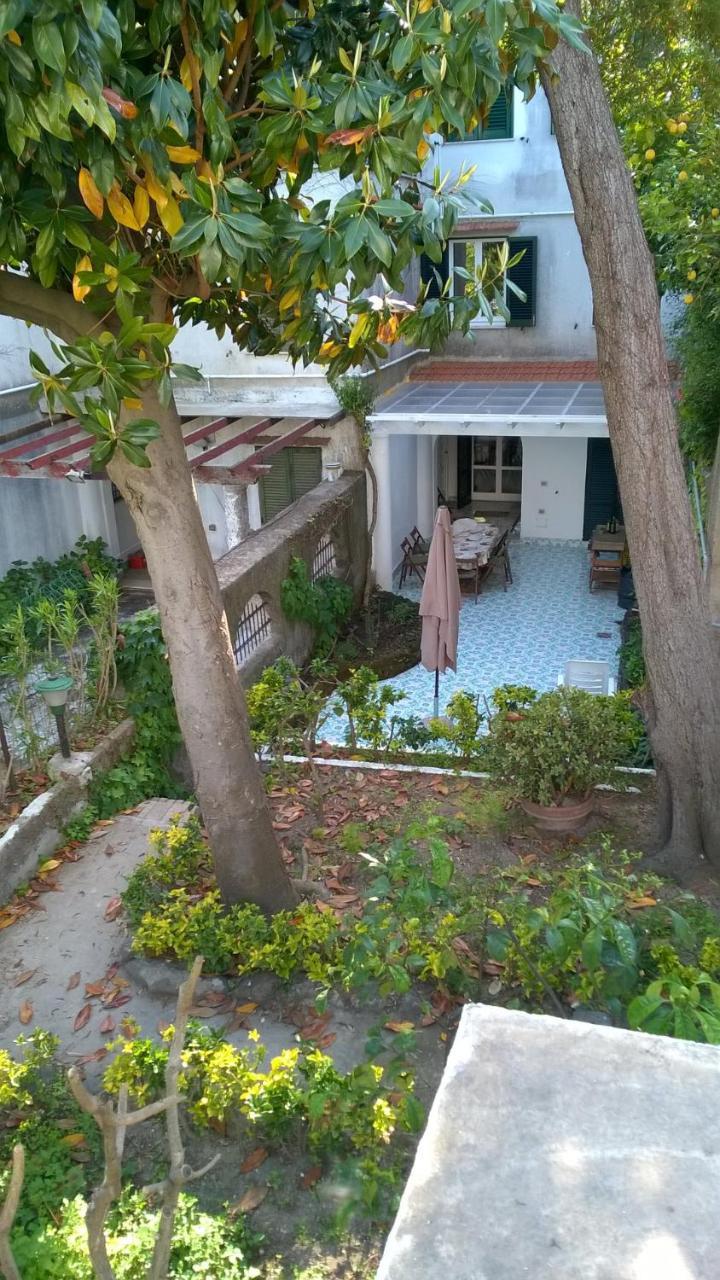 Villa Iscla Maison D'Hotes Ischia Eksteriør bilde
