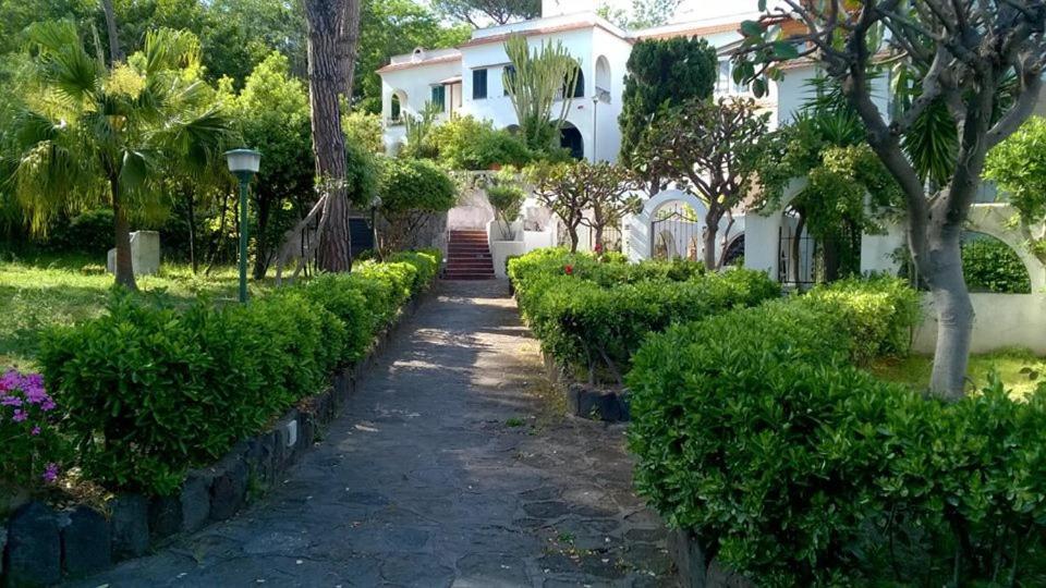 Villa Iscla Maison D'Hotes Ischia Eksteriør bilde
