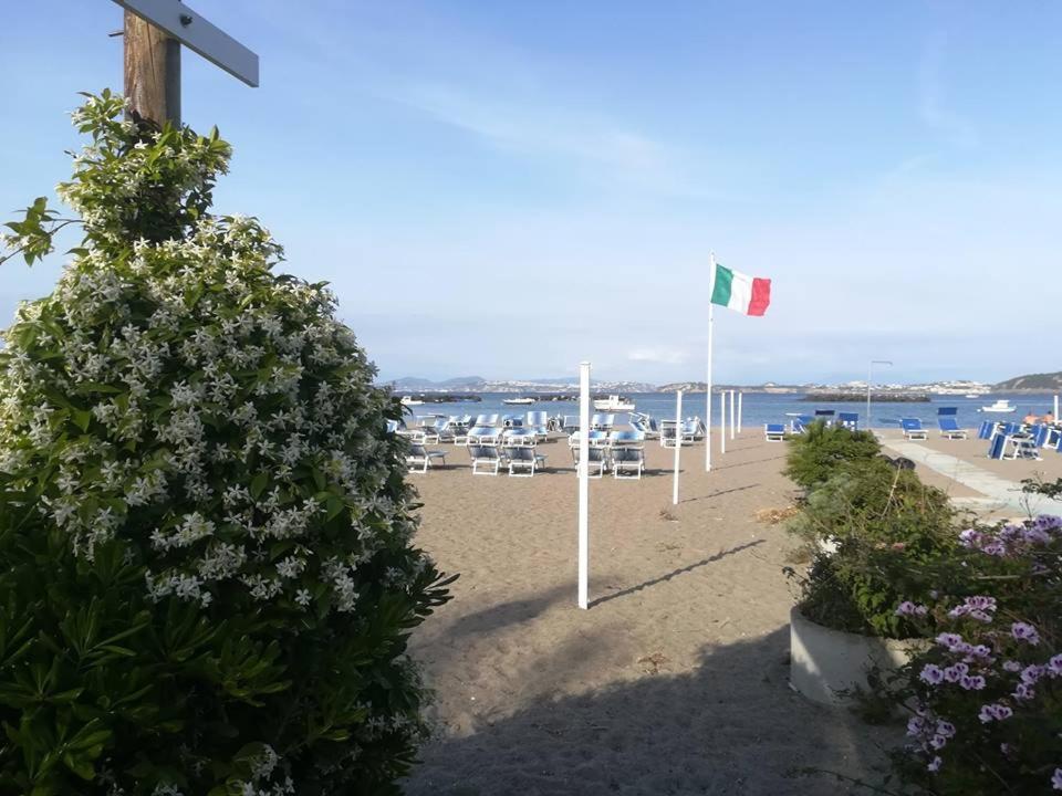 Villa Iscla Maison D'Hotes Ischia Eksteriør bilde